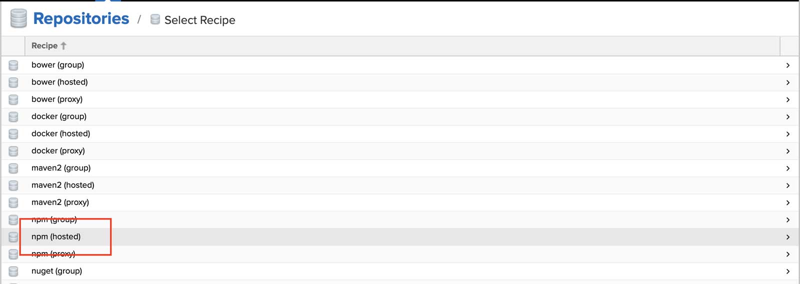 npm-hosted.jpg