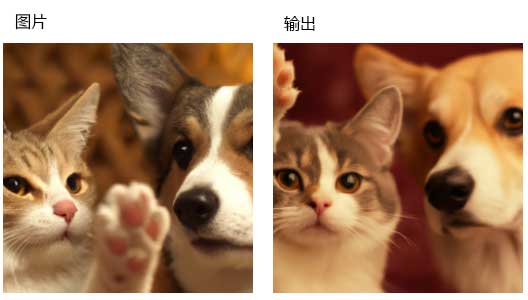 image_variation.jpg